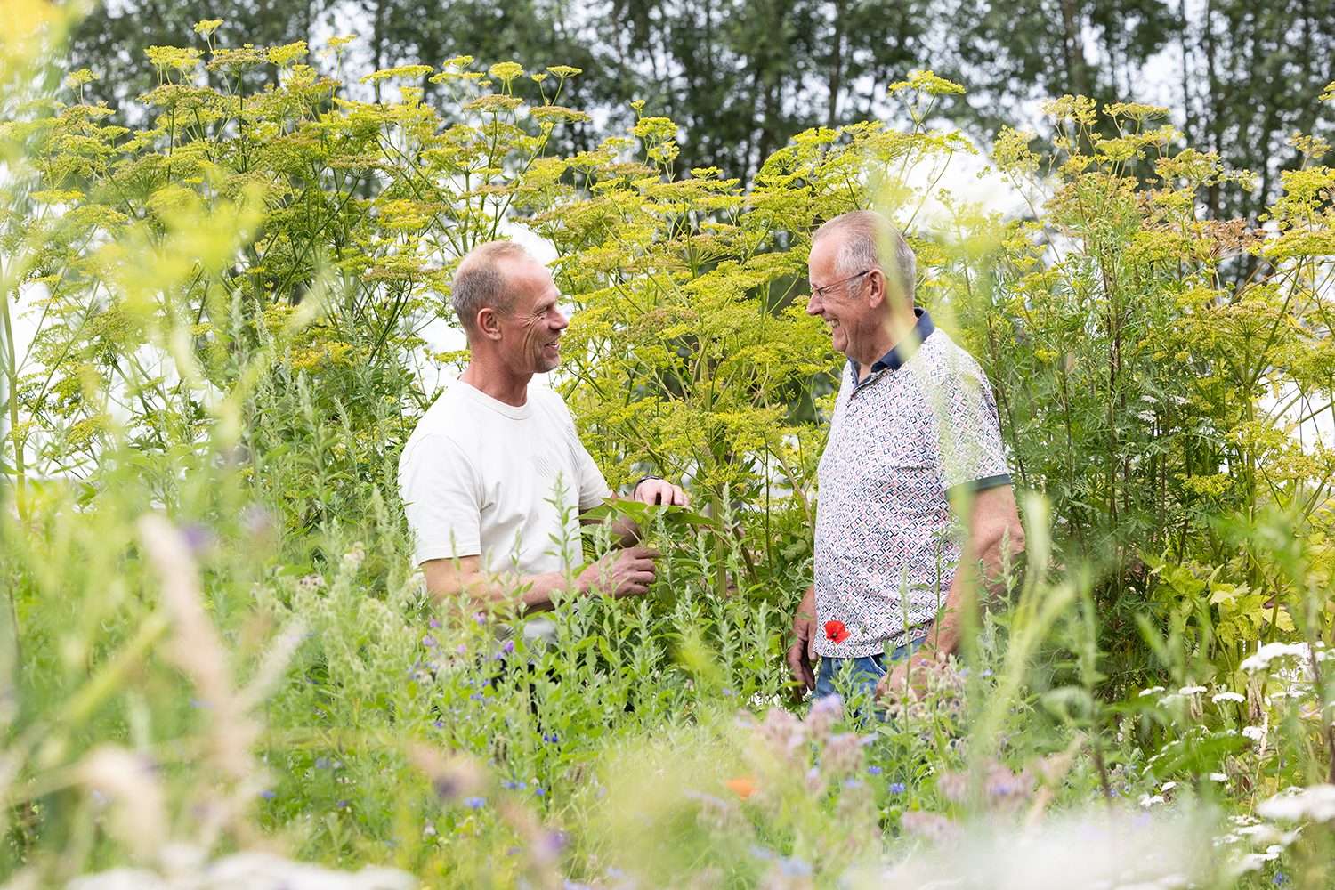 Twee medewerkers van Van der Haar Hoveniers in gesprek tussen de beplanting