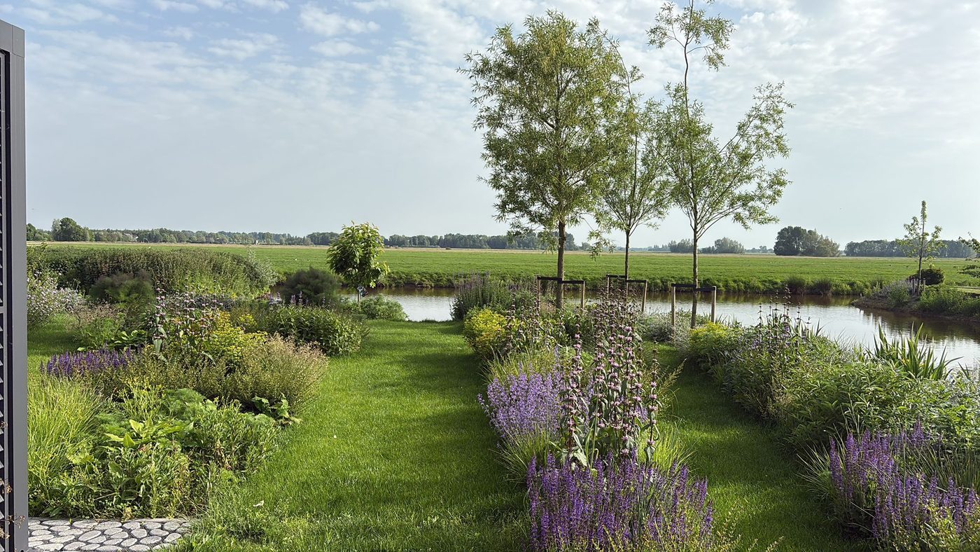 Border met paarse salvia en siergrassen die overloopt in het open polderlandschap