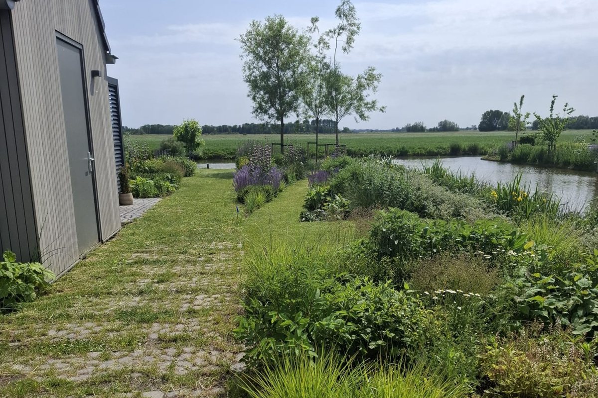 Waterpasserend pad met gras tussen de tegels, uitkijkend over de polder