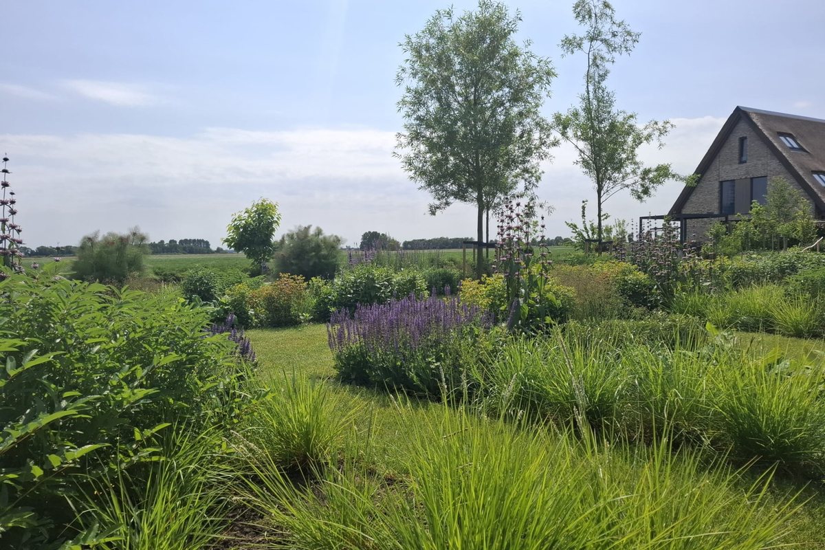 Achterin de tuin met natuurlijke beplanting en uitzicht