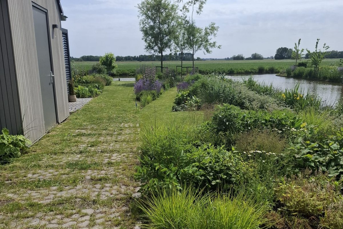 Waterpasserend pad met gras tussen de tegels