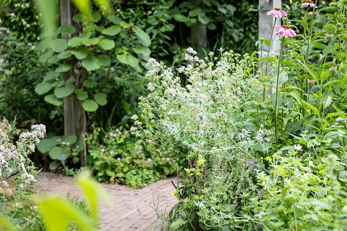 Natuurlijke vijver met waterplanten en siergrassen