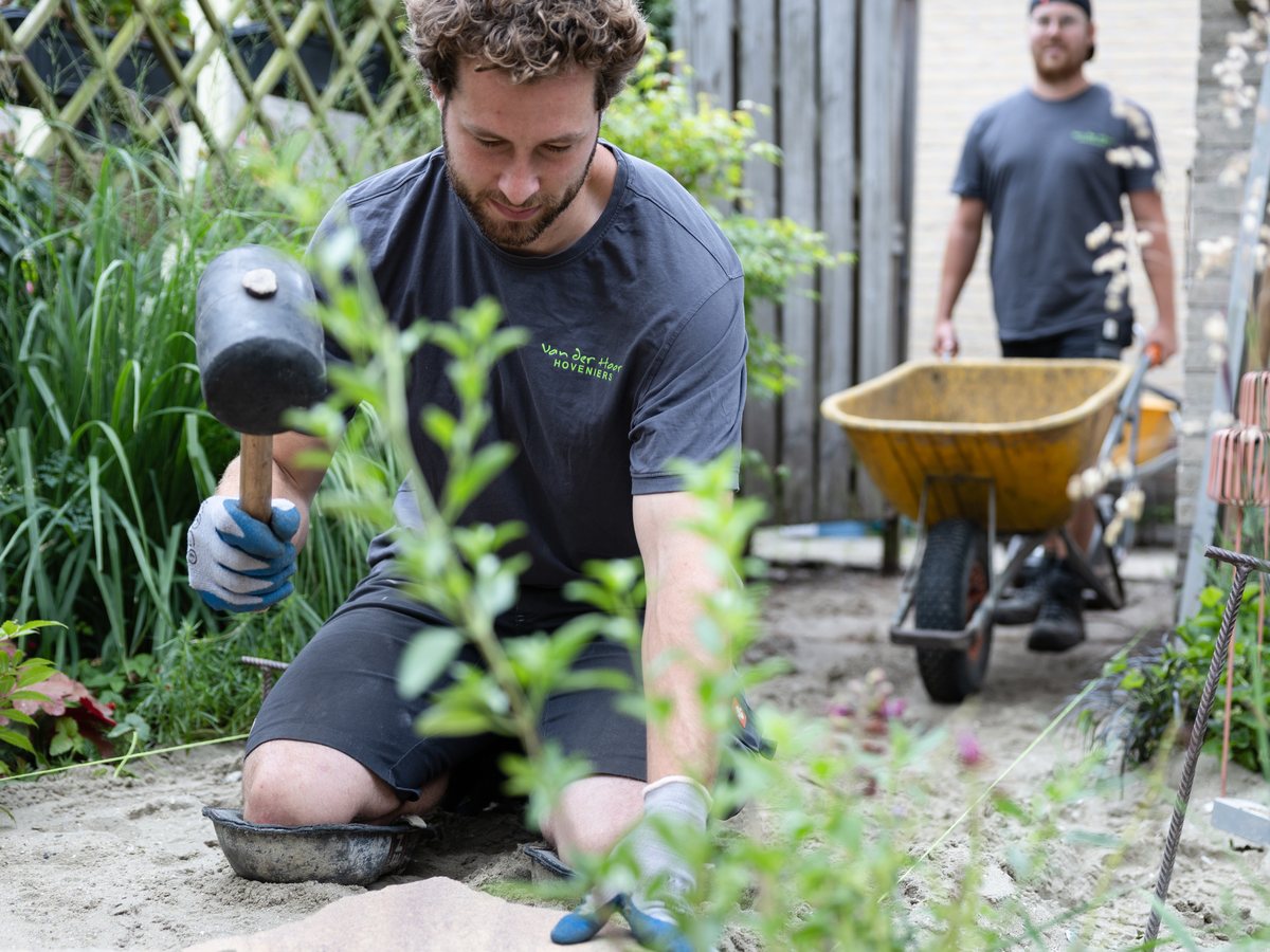 Hovenier aan het werk in een border met vaste planten