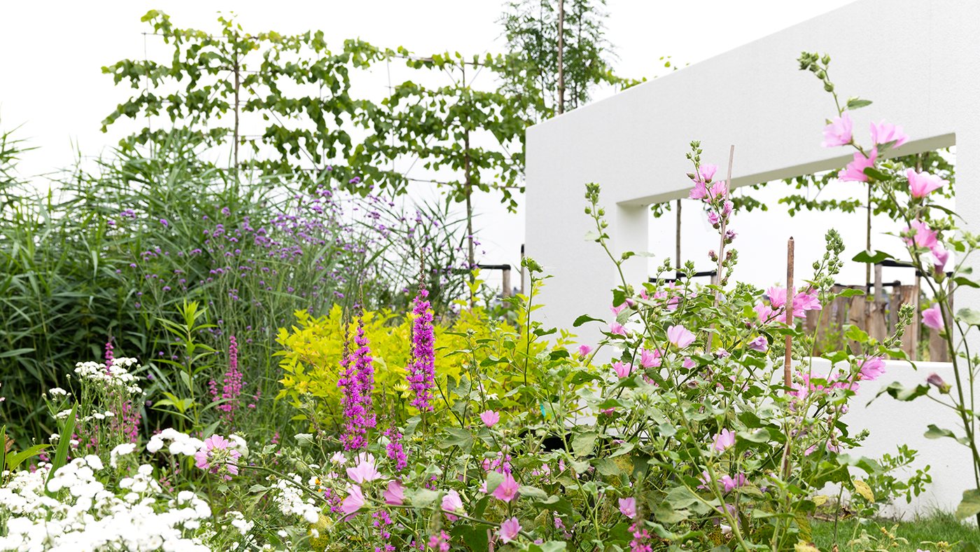 Weelderige border met roze en witte bloemen langs een strakke witte muur